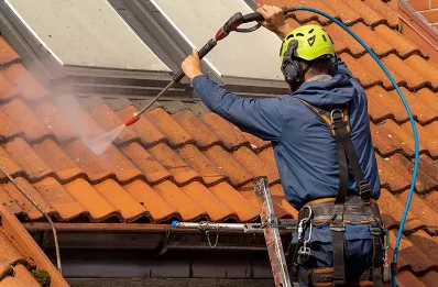 Démoussage et hydrofuge de toiture à Crau